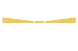 Logo des Entwicklungslotsen